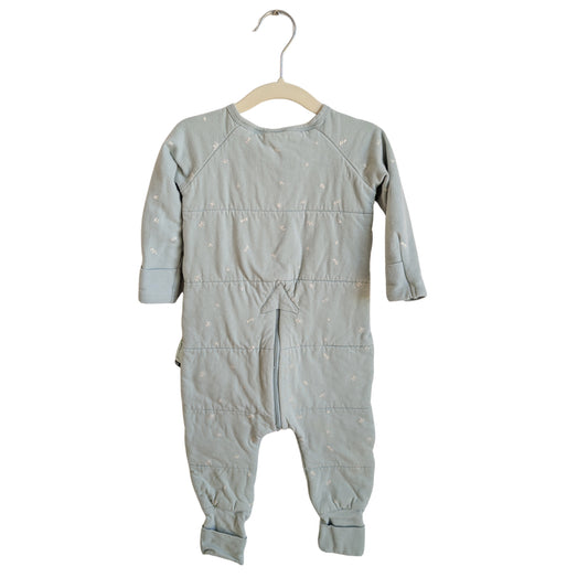 Ergo Pouch Sleepsuit 2.5 Tog, Size 6 - 12 Months