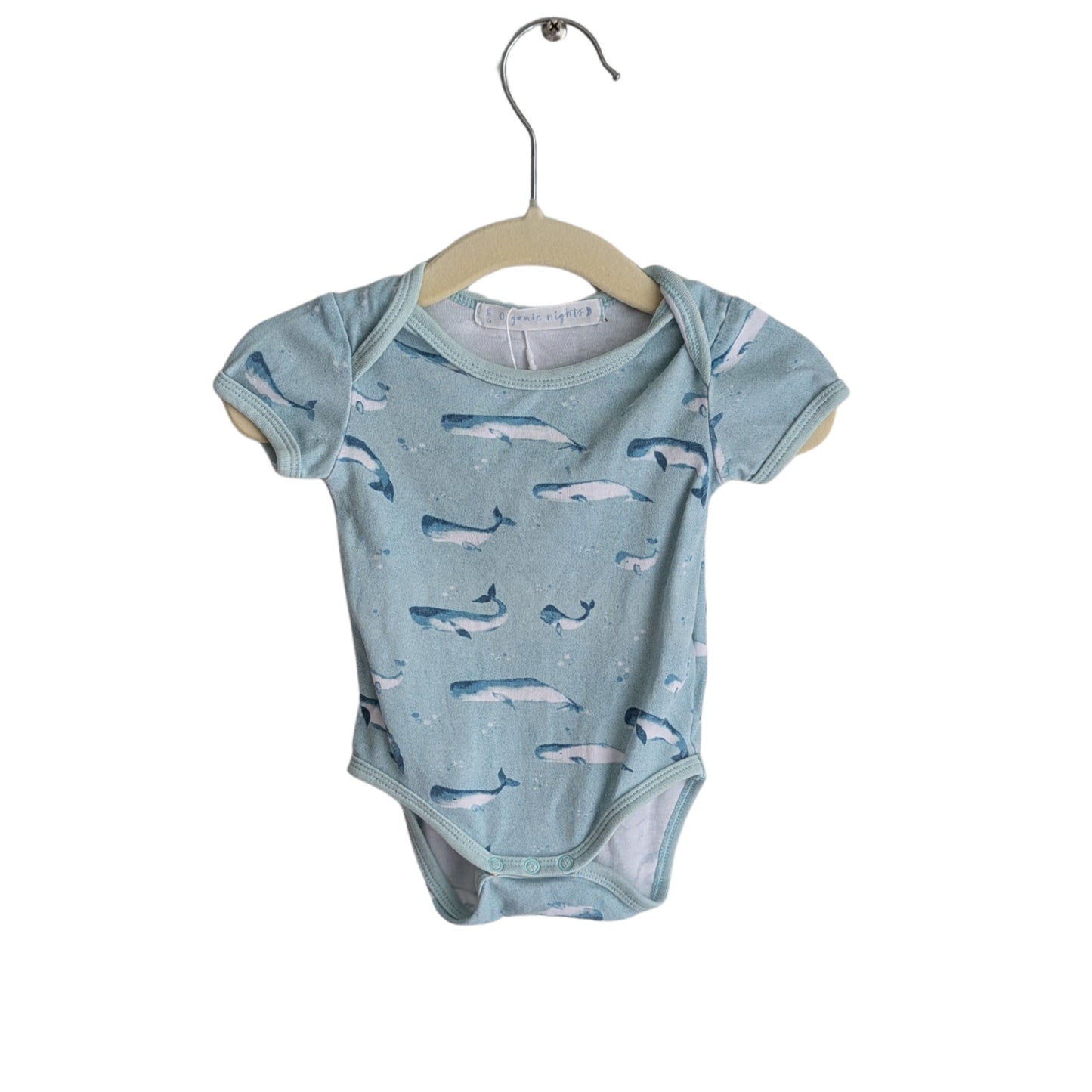Organic Nights Beluga Whale Bosysuit, Size 000
