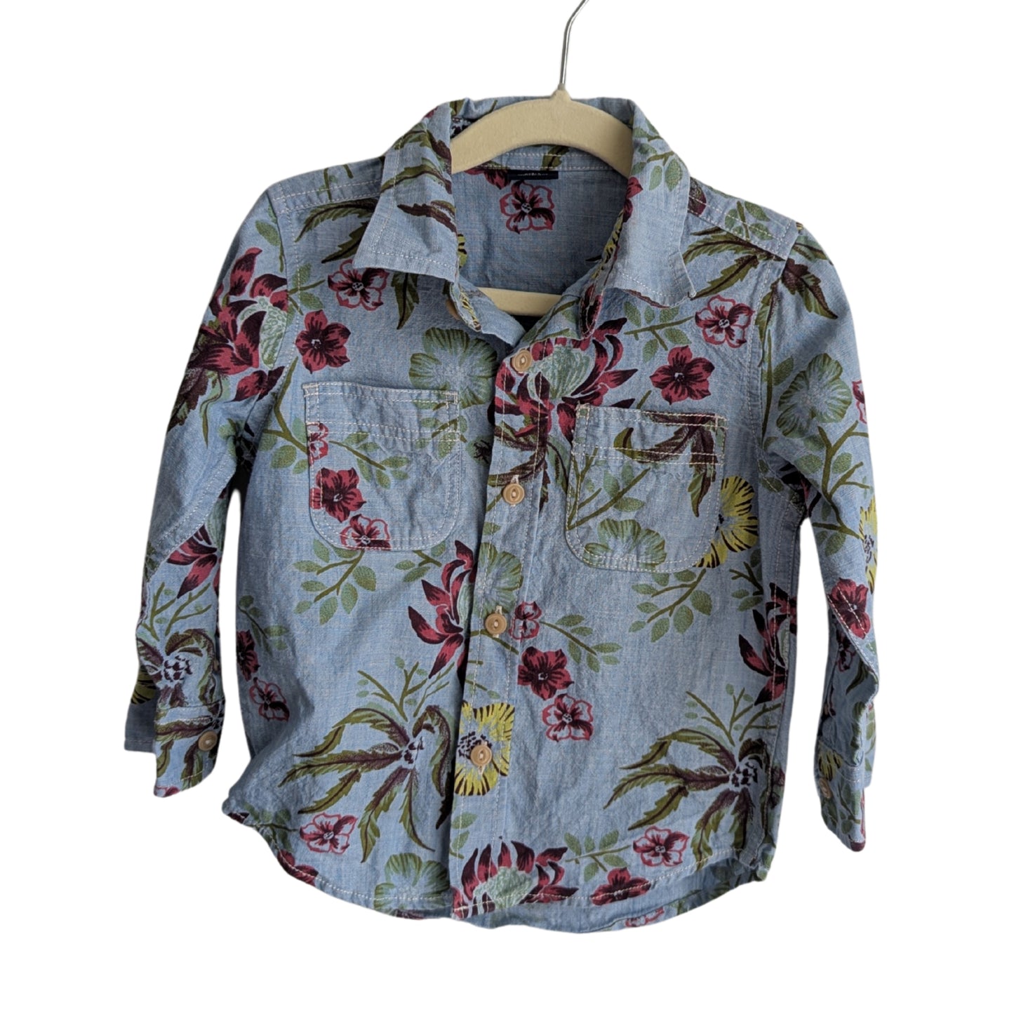 Baby Gap Floral Button Down, Size 2