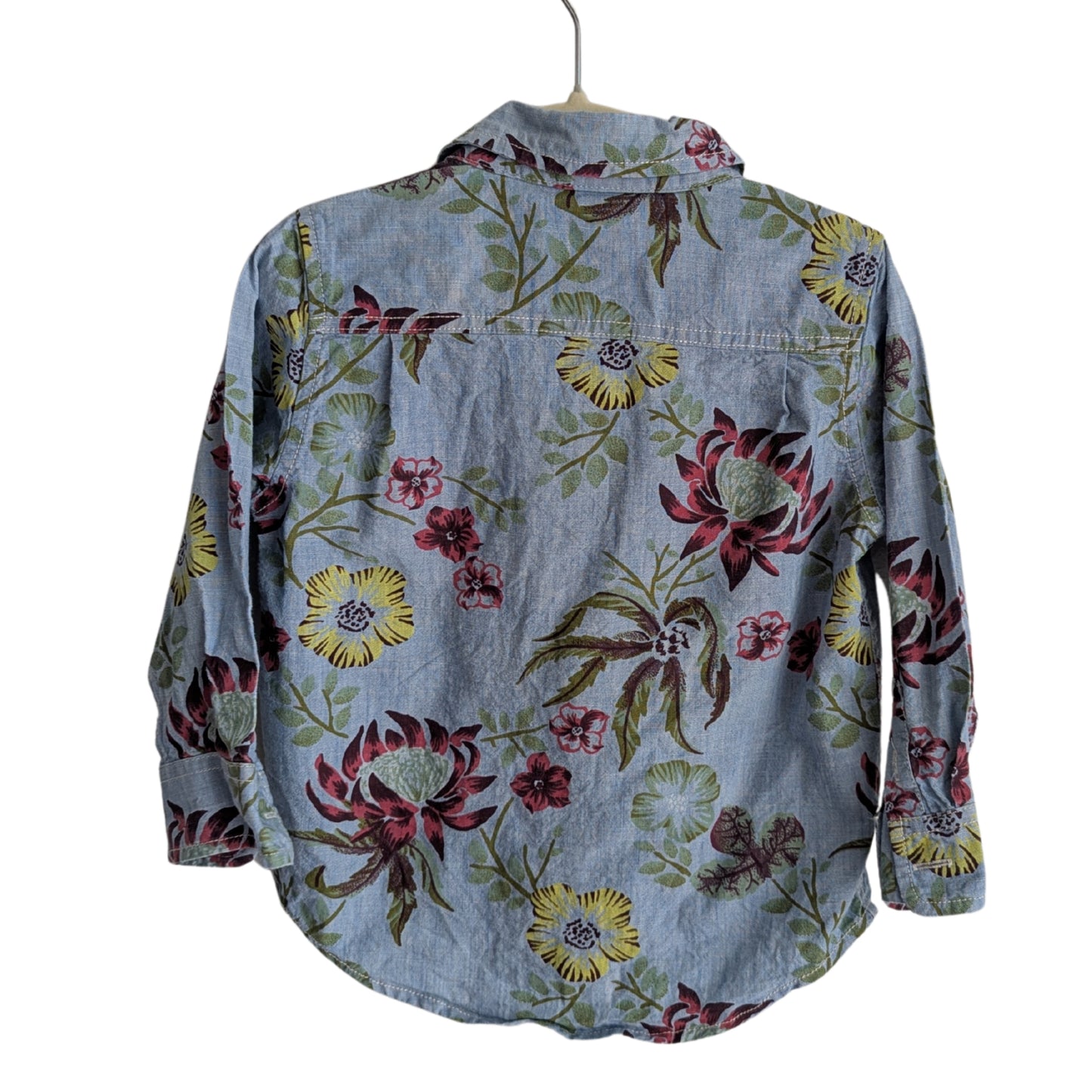 Baby Gap Floral Button Down, Size 2