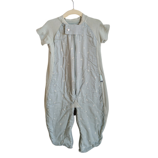 Ergo Pouch Sleepsuit 1 Tog, Size 3 Months - 1 Years